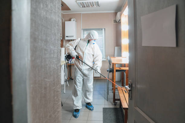 Professional Mold Inspection, Removal & Remediation in Colorado Springs, CO